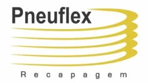 Pneuflex